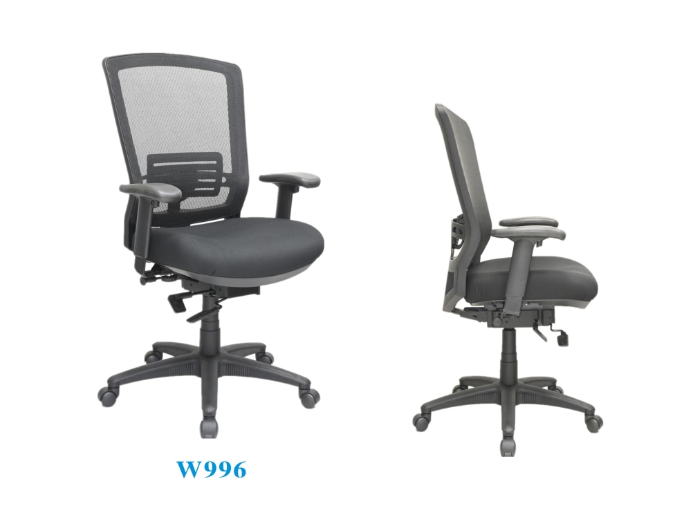 金皇政府人体工学椅可调节 W996金皇政府人体工程办公座椅